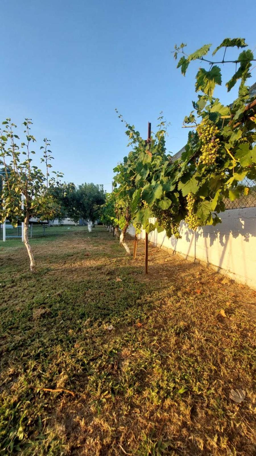 Pomegranate Tree House - Meteora Guest House Kalambaka Exterior photo