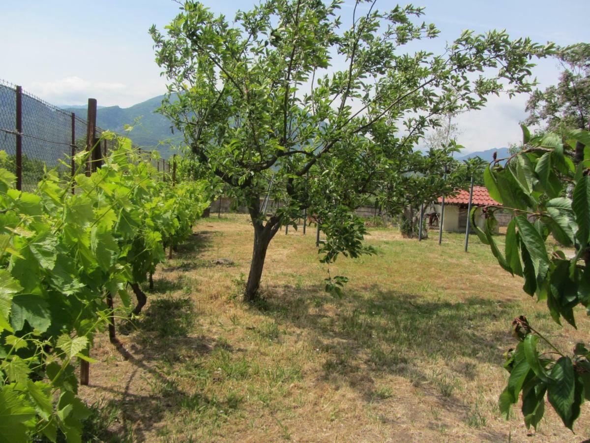 Pomegranate Tree House - Meteora Guest House Kalambaka Exterior photo